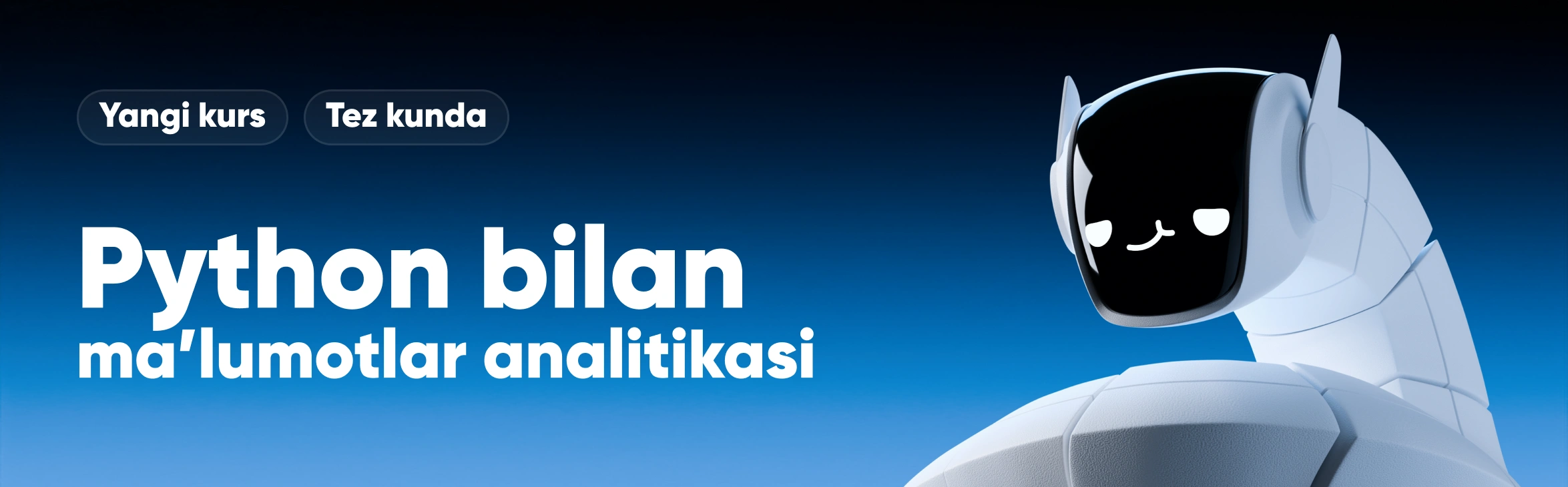 Python Bilan Ma'lumotlar Analitikasi Banner